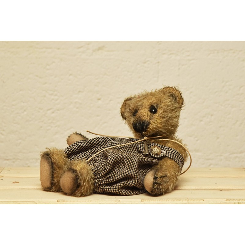 Adam, vintage collection teddy bear for sale Dawn James